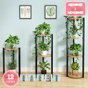 1000円OFFクーポン フラワースタンド アイアン 花台 プランタースタンド 3段 2段 4段 ガーデンラック おしゃれ 植木鉢 台 観葉植物 盆栽棚 園芸ラ...
