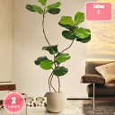 大型観葉植物 フェイク 人工観葉植物 おしゃれ リアル インテリアグリーン 観葉樹 模様替え 引越 在宅勤務 リモート会議 人造植物 人造緑 人工植物 インテリ...