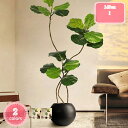 人工観葉植物 目隠し フェイクグリーン 大型 大きい 事務所 インテリア 部屋 空間 お手入れ不要 自宅 室内用 ギフト 贈り物 モダン おしゃれ リビング リ...