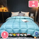500円OFFクーポン 暖かい ダックダウン 90% 掛け布団 ホワイトダック ダウン 羽毛 消臭 抗菌防臭 制菌 抗カビ アイリスオーヤマ ギフト シングル ...
