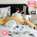 ガーゼケット 春 夏 秋 ふわふわ 軽い 掛けふとん かわいい柄 色 肌掛け布団 シングル 夏用 シングルサイズ ダブルサイズ 掛け布団 洗えるクールケット 薄い 夏掛けふとん 冷房の冷え防止に ロングシーズン対応 肌布団 夏用布団 YJSO
