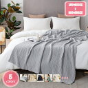 500円OFFクーポン ガーゼケット シングル シングルガーゼ 6重 150cm×200cm 出産祝い 綿100% コットン コットンケット オールシーズン お昼寝 保育園 幼稚園 シンプル 赤ちゃん ベビー さらさら かわいい おくるみ 綿 シングルベッド シングル毛布 YJSO