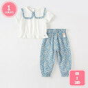 3500円OFFクーポン キッズ セットアップ 女の子 ガールズ 綿 Tシャツ ガウチョパンツ 薄手 肌着 軽量 無地 ロングパンツ 可愛い お洒落 小学生 ジ...