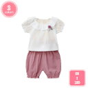 ベビー服 女の子 長袖 tシャツ ロングパンツ 上下セット 子供服 キッズ服 フリル カットソー ズボン セットアップ 花柄 赤ちゃん服 かわいい新生児服 ガー...