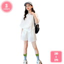 800円OFFクーポン 夏 韓国 子供服 セットアップ 学生 女の子 半袖Tシャツ パンツ 子ども服 上下セット キッズ Tシャツ 子供 女の子 ダンス衣装 キ...