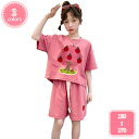 800円OFFクーポン 韓国子供服 セットアップ 夏 カジュアル ナチュラル tシャツ 半ズボン ジャージ 半袖 パンツ 半ズボン 女の子 スポーツウェア ゆっ...
