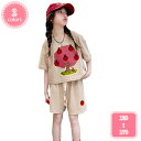 1700円OFFクーポン スポーツウェア キッズ 上下セット 男の子 女の子 子供 半袖 tシャツ ショートパンツ セットアップ 半ズボン トップス ボトムス ...