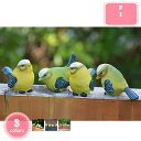 800円OFFクーポン 鳥の置物 アニマルオブジェ 小さい ガーデン 室内の飾り オーナメント 鳥のオブジェ インテリアオブジェ リアル 雑貨 北欧 樹脂製 ガーデン オブジェ ガーデニング インテリア マスコット アニマル キュート YJSO