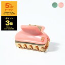 【5%OFFクーポン&ポイント3倍】アレクサンドル ドゥ パリ ALEXANDRE DE PARIS ヘアクリップ(スモールサイズ) DOUCEUR DECON...