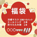 【夏旅応援福袋2025】2025 福袋 夏 レディース キッズ メンズ福袋 お得セット 接触冷感 マスク 立体 マスク 不織布 3D バイカラー マスク 小顔 血色マスク おしゃれ 不織布マスク 折りたたみ日傘 コンパクト 超軽量ランドセル クール リング 首回り 冷感 リング 子ども