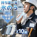 【長時間保冷・10個セット】氷のう アイス パック 氷嚢 クール スティック 真空断熱 ひょうのう 冷却 スティック 約48時間持続 ストラップ付き 軽量 19...