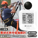 【高所・屋外作業に最適】黒球式 熱中症指数計 WBGT測定器 黒球 熱中症計 黒球式暑さ指数計 熱中症対策 時計表示 屋外用 カラビナ付き 高温作業 建設現場 法人 事業者 義務化 インボイス対応 気温 湿度 輻射熱 WBGT 指標 計測 JIS準拠 温湿度計 高精度 熱中症指数モニター