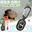【夏の必需品・屋外でも快適!】蚊除けキーホルダー 携帯用 虫よけ 蚊よけ 蚊除け 超音波 吊り下げ式 蚊よけグッズ 虫駆除 害虫対策 虫対策 無害 薬剤不使用 充電式 充電コード付 無音 無毒 無臭 安全 防雨仕様 キャンプ 虫ガード 虫除け カラビナ付き 小型 360度虫バリア