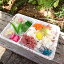 【ランチボックスプリザ送料込】目玉商品 ロコモコ ハーバリウム花材セット 1000円 プリザーブドフラワー 色々な花材 バラ ミニカトレア あじさい かすみそう パセリ スモークツリー ケイトウ もみじ 手まり草 猫じゃらし 花 ガーデン
