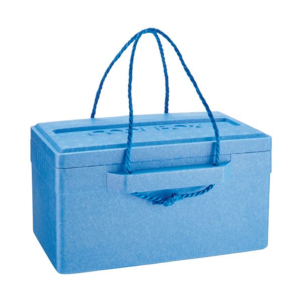 (インボイス対応)(まとめ) 石山 発泡クールボックス 18.7L ブルー TI-180P 1個 【×3セット】