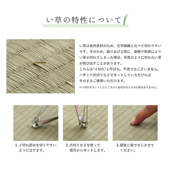 となる 夏用 い草 ラグマット/絨毯 正方形 日本製 抗菌 防臭 防滑 湿度調節 ホットカーペット対応:Chiba Mart 店 つけにくい