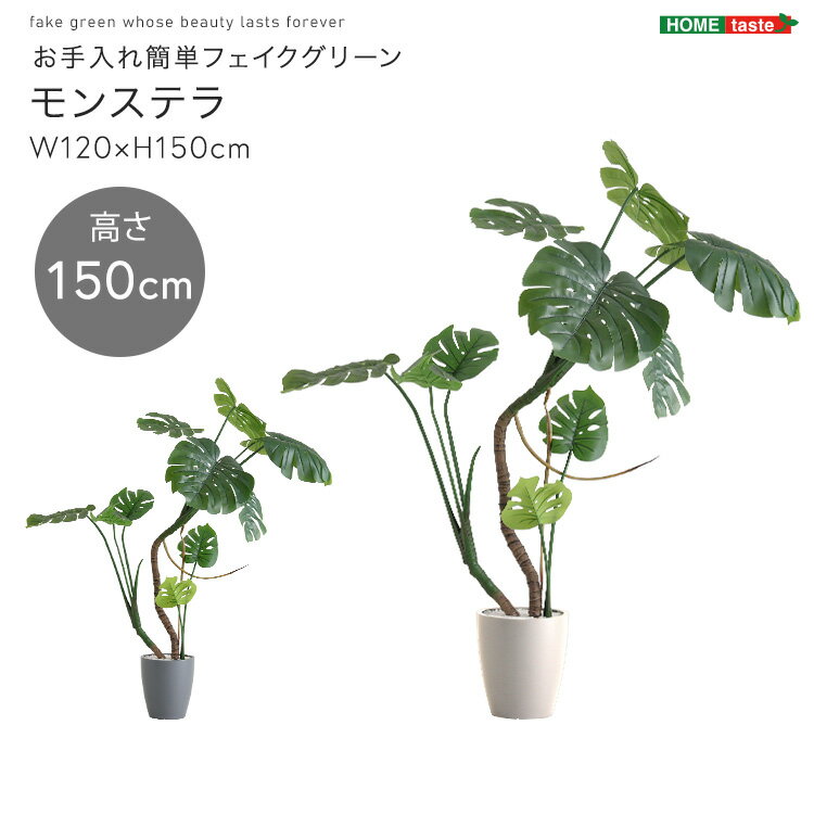 お手入れ簡単フェイクグリーン　モンステラ　Mサイズ(150cm)