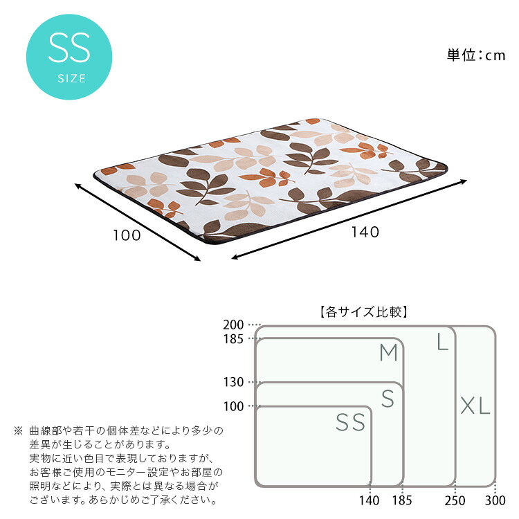 マイクロファイバー・デザインラグマットSSサイズ(100×140cm)洗えるラグマット 【WASHFA2】 [2]