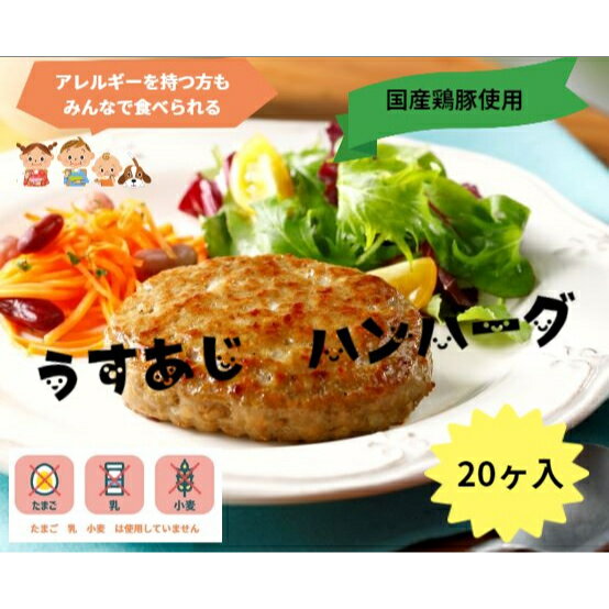 《冷凍》 日東ベスト FMうす味ハンバーグ80国産鶏豚使用 80GX20個入 アレルギー対応 乳不使用 卵不使用 小麦不使用 学校給食 業務用 フレンズミール お惣菜 惣菜 おつまみ おかず お弁当 冷凍食品 冷食 時短 大容量 安心 安全