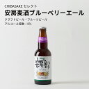 【クラフトビール】安房麦酒 ブル