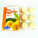 まるごとびわプリン(大)【お土産 お菓子】【千葉・房総限定】【枇杷のおみやげ】【楽ギフ_包装】【楽ギフ_のし宛書】【楽ギフ_手提げ袋】【千葉 お土産】 - 千葉ピーナツびわお土産処ちばうま