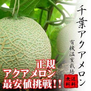 【送料無料】千葉アクアメロン