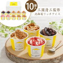 \ポイント2倍/アイスクリームギフト アイス ギフト 三國清三監修 北海道リッチアイス【10個】 母の日 父の日 プレゼント 【T】アイスクリーム シャーベット...
