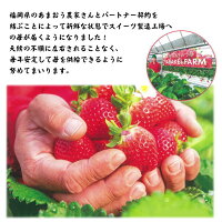 【送料無料】お取り寄せスイーツ【11個入】花いちごのバラエティアイス