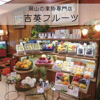 お中元送料無料ギフト【45個】岡山果物屋さんのひとくちシャーベット