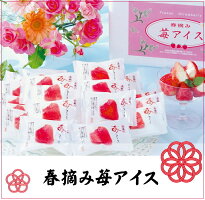 お歳暮ギフト【18個】春摘み苺アイス(18個)