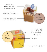 【お試し価格】4320円→2580円送料無料【8個】銀座京橋レロジェエギュスキロールウインターデザートお歳暮スイーツお取り寄せスイーツゼリーギフト高級スイーツ詰め合わせ贈り物食べ物お歳暮スイーツギフト東京お土産御歳暮yf-wk