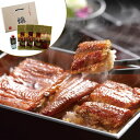 特製蒲焼【AP】 うなぎ蒲焼 グルメ 人気 おすすめ ギフト 贈答 取り寄せ お取り寄せグルメ プレゼント 手土産 高級 お中元 贈り物