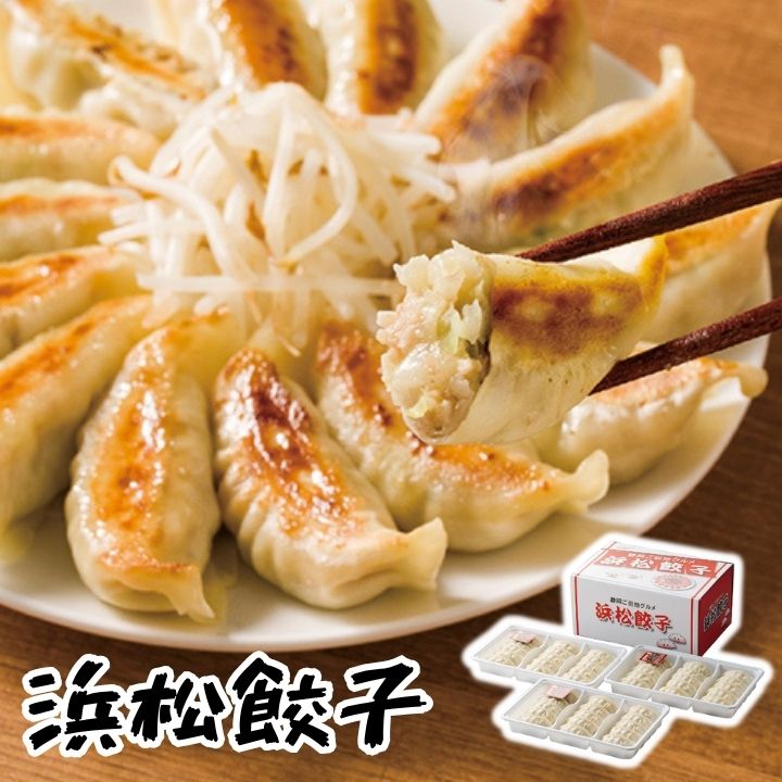 お歳暮 早割 ポイント10倍★浜松餃子 【APO】 御歳暮 冬ギフト 帰省 グルメ 人気 おすすめ ギフト 贈答 取り寄せ お取り寄せグルメ ぎょうざ ギョウザ プレゼント 手土産 高級 贈り物