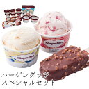 お歳暮 ハーゲンダッツ スペシャルセット 【APO】 御歳暮 冬ギフト 帰省 グルメ 人気 おすすめ ギフト 贈答 取り寄せ お取り寄せグルメ ミニカップ ラバーズアソート ストロベリー クッキー&クリーム プレゼント 手土産 高級 お中元 贈り物