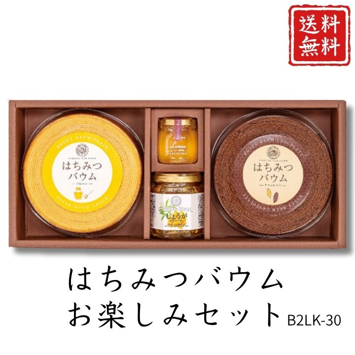 お歳暮 早割 ポイント10倍★洋菓子 はちみつバウムお楽しみセット B2LK-30 【APO】 御歳暮 冬ギフト 帰省 グルメ 人気 おすすめ ギフト 贈答 取り寄せ お取り寄せグルメ 山田養蜂場 プレゼント 手土産 高級 贈り物