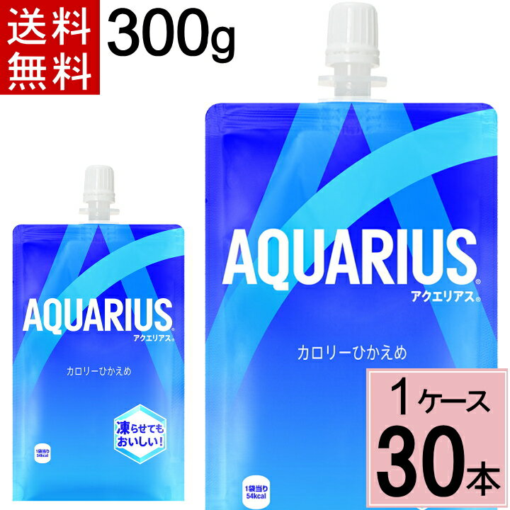 【クーポン配布中】アクエリアス 300gハンディーパック 送料無料 合計 30 本（30本×1ケース）アクエリアス ハンディパック パウチ スポーツドリンク ハンディー パック スポーツドリンク(飲料タイプ) 清涼飲料水 アクエリアス スポーツ 運動 4のサムネイル