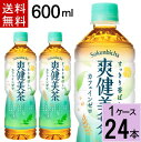 爽健美茶 PET 600ml 送料