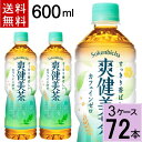 爽健美茶 PET 600ml 送料無料 合計 72本(24本×3ケース) 爽健美茶 600ml 24本 ×3 爽健美茶 24 ×3 そうけんび そうけんびちゃ爽健美茶 爽..