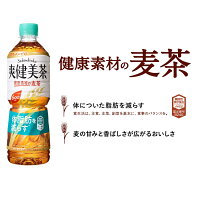 爽健美茶そうけんびちゃ健康素材の麦茶600mlPET送料無料合計24個(24個×1ケース)そうけんびそうけんびちゃトクホ特定保健用食品健康お茶