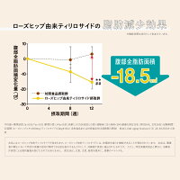 爽健美茶そうけんびちゃ健康素材の麦茶600mlPET送料無料合計24個(24個×1ケース)そうけんびそうけんびちゃトクホ特定保健用食品健康お茶