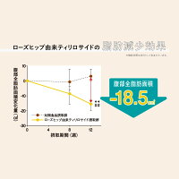 爽健美茶そうけんびちゃ健康素材の麦茶600mlPET送料無料合計24個(24個×1ケース)そうけんびそうけんびちゃトクホ特定保健用食品健康お茶