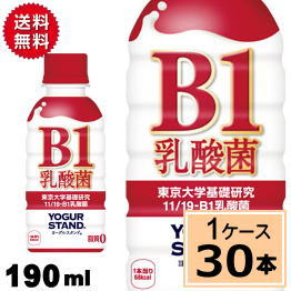 ヨーグルスタンド B-1乳酸菌 PET 190ml送料無料 合計30本(30本×1ケース)11 19-B1乳酸菌 ヨーグルト 健康維持 東京大学が基礎研究して発見した11/19-B1乳酸菌 整腸作用 腸内活動 プレーン 11 1 乳酸菌 東京 大学 4902102131964