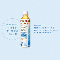 からだ巡茶モイスティア410mlPET