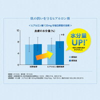 からだ巡茶モイスティア410mlPET
