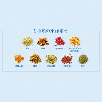 からだ巡茶モイスティア410mlPET