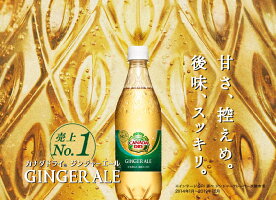 カナダドライジンジャーエール1.5LPET送料無料