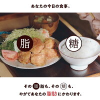 からだすこやか茶W1050mlPET送料無料