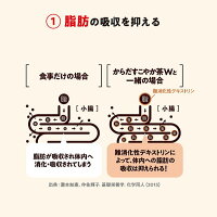 からだすこやか茶W1050mlPET送料無料