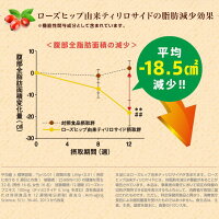からだ巡茶アドバンス410mlPET送料無料合計24本(24本×1ケース)からだ巡茶アドバンスからだ巡り茶アドバンスからだ巡茶からだ巡り茶からだめぐり茶体脂肪健康ウーロン茶緑茶高麗人参ティリロサイド機能性表示食品