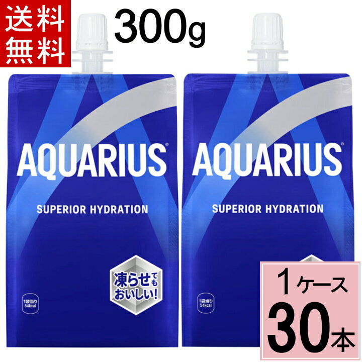 【クーポン配布中】アクエリアス 300gハンディーパック 送料無料 合計 30 本（30本×1ケース）アクエリアス ハンディパック パウチ スポーツドリンク ハンディー パック スポーツドリンク(飲料タイプ) 清涼飲料水 アクエリアス スポーツ 運動 4のサムネイル